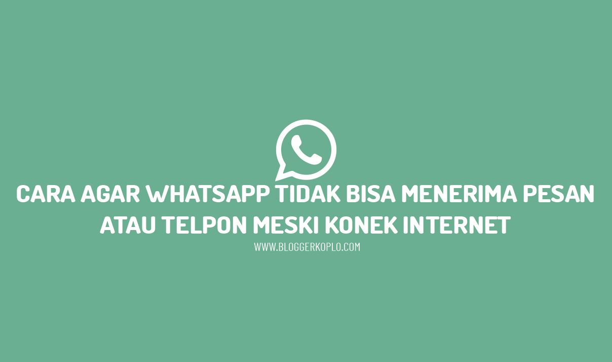 Cara Agar Whatsapp Tidak Bisa Menerima Pesan atau Telpon Meski HP Konek Internet